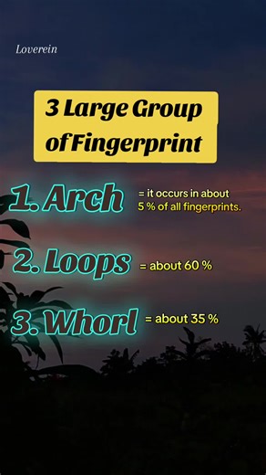 Understanding Fingerprint Patterns: Arch, Loop, Whorl