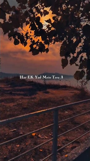 Teri Meri, Meri Teri Prem Kahani💔 || Bodyguard || Rahat Fateh Ali Khan, Shreya Ghoshal || #dard #sad