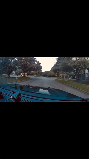 25K views · 362 reactions | Cops in Houston pull over the guy in the clown car who thought it was a good idea to pass an unloading school bus. If you aren’t sure, just stop #savealife | The Bus Runner Page | Facebook