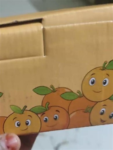 Fresh Orange Carrot Ginger Juice | Healthy Immunity Booster Drink