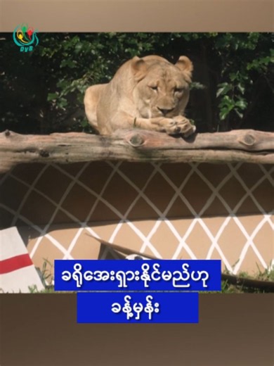 ခရိုအေးရှားနိုင်မည်ဟု ခန့်မှန်း 🚨 DVB Digital 1 Minute International News 🚨17.06.2026 📢 🔔 Follow #dvbtvnews for daily #InternationalNews in #Myanmar 🔥