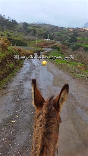 ‎mohamed el asri & محمد العسري‎ on Instagram‎: "#جبالة_شمال_المغرب❤️😍"‎