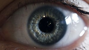 You are your password: The world of biometrics