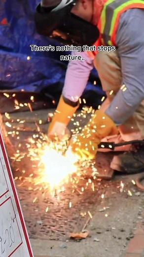 Trees never stop growing 🌲 #trees #arborist #arboristsoftiktok #treeservice #seattletrees #treesurgeon #treesurgery