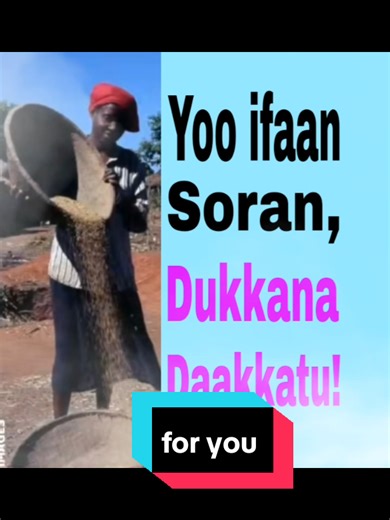 #oromotiktok❤️🖤🤍❤️ethiopiantiktok #ethiopian_tik_tok🇪🇹🇪🇹🇪🇹🇪🇹 #amharatiktok💚💛❤️ #tiktokviral #creatorsearchinsights @Gelana Bayu