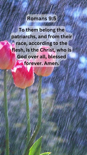 Jesus Saves | Romans 9:5 Daily Bible Verse