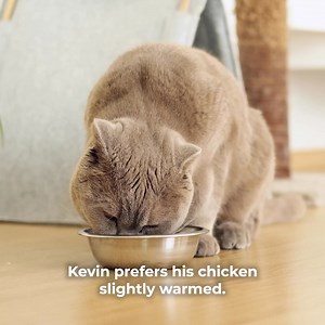 Compassionate care at home – keeping you ‘you’, in the place you love. Our Caremark team can help with: 🔹 Overseeing medication 🔹 Shopping & meal preparation 🔹 Getting out to social occasions … and much more. | Caremark