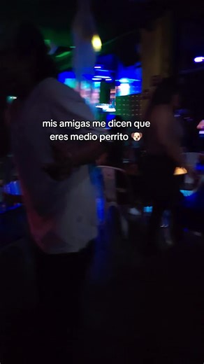 Baile de Perritos: Amor y Diversión en TikTok