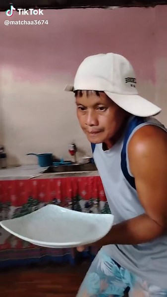 Funny Cat Compilation - Laughtrip!