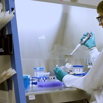 Video: Physiologic Patient Derived 3D Spheroids for Anti-neoplastic Drug Screening to Target Cancer Stem Cells