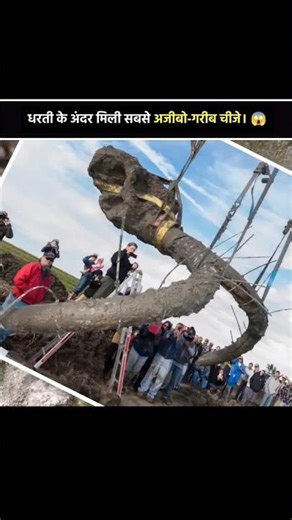 Scientists Found Whale Bones in a Desert 😱 This Changes Everything