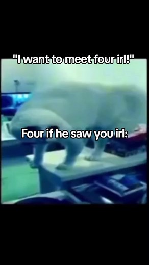 idk what to post im just bored and don't ask why I posted this. anyways cool caption here guys! #tpot #bfb #bfbfour #bfdi #heh