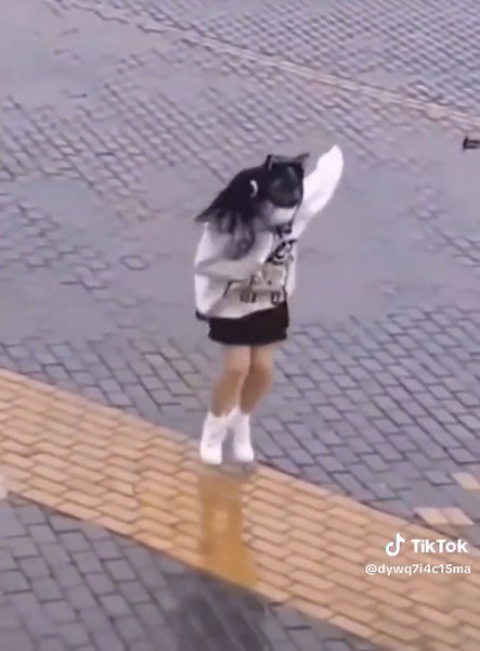 귀엽고 웃긴 짤 모음: 가장 웃긴 짤 사진과 짤 모음집