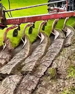 5.8M views · 21K reactions | Most Satisfying factory machine 來 | Blissful Moments | Facebook