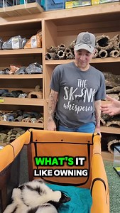 13K views · 1.4K reactions | HE OWNS 7 SKUNKS!  | NJ Exotic Pets | Facebook