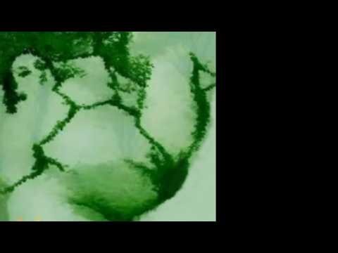 The Servant and Lady of the House