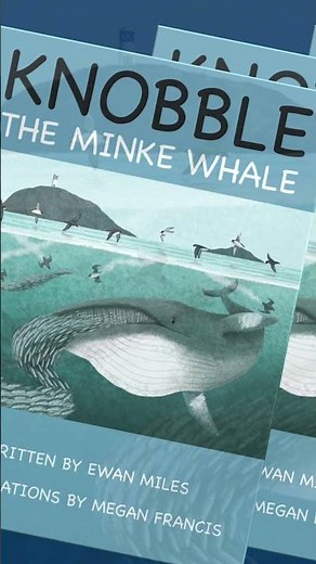 Have you seen Knobble the minke whale?