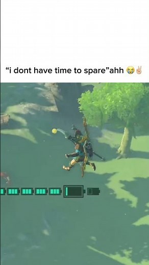 #zelda #totk #funny