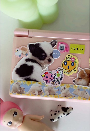 Customized Nintendo DS Lite Decor Ideas