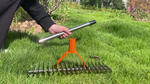 Thatch Rake, 15-Inch Wide Thatching Rake With Stainless Steel Handle 62-Inch Length