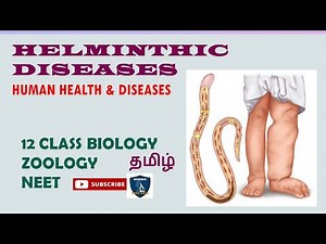 Helminthic Diseases in Tamil | Human Health and Diseases I Zoology | Class 12 | TNSCERT/CBSE | NEET