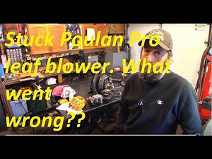 A failed Poulan Pro leaf blower. Locked up, won't start, won't pull.
