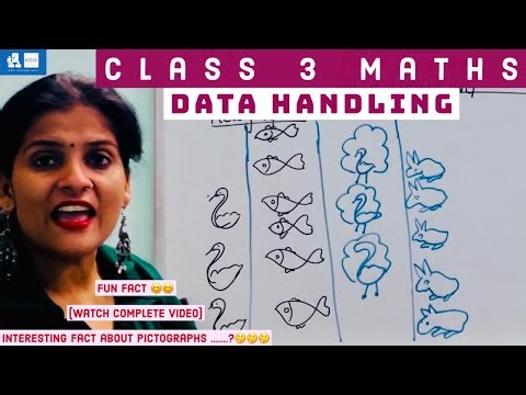 Data Handling for Class 3 | Class 3 Maths | Tally Class 3 | Pictograph