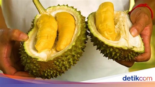 5 Lokasi Makan Durian Enak di Bali yang Harus Anda Coba