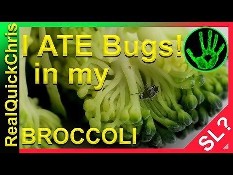 discovered in my Broccoli