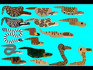 Snake Pack Dc2 Download.