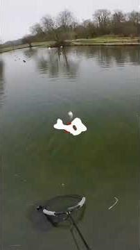 Moorhen Trout Fishery Blue Glistering Apps Worm 🎣#trout #fishing #flyfishing #troutfishing #flyrod