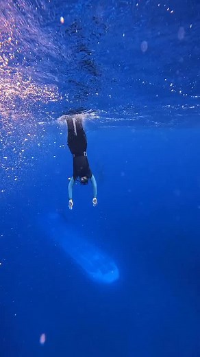 24K reactions · 443 shares | One of the craziest dives we’ve ever done. We were freediving around shipwrecks that were about 100 feet deep when we this deep ominous sound. So of course, we had to check it out. We swim out a bit from the wreck, look down and there it is. A submarine 勞 隆‍♀️: @oceangalz @awaywithmaria #submarine #ocean #deepblue #freediving #diving #thalassophobia #adventure #explore | oceangalz | Facebook