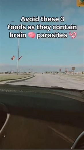 Minnesotan Momma | Nicole Ann on Instagram: "3 foods harboring brain parasites! You will want to read this!👀🪱 🐷Pork 🍣Sushi 🐟 farm raised salmon ( we also found pin worms in fresh water salmon ) These are the top culprits that carry parasites that hitch a ride through your bloodstream, straight to your brain and organs. Eggs can embed,trigger seizures, neurological issues, organ failure and life altering damage. This became a reality in our home. We loved all 3 and consumed all 3 of these on