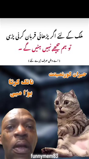 Hilarious Funny Memes to Brighten Your Day