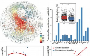 iMeta：西农韦革宏团队焦硕等-土壤真菌驱动细菌群落的构建_哔哩哔哩_bilibili