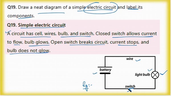 Class 7 Science Half Yearly Sample Paper | Curiosity NCERT 2025 | Practice + Solutions | KaliyaanTV