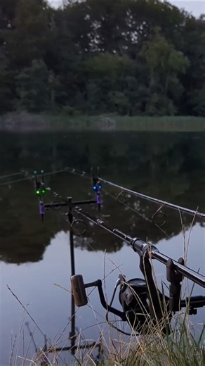 Angeln auf Karpfen Hecht Barsch #fishing #pike #carpfishing #fish #outdoors #pesca #perch #barsch