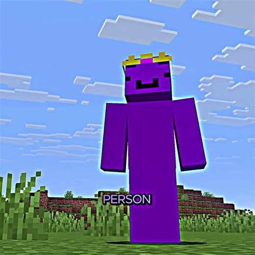 Wemmbu Cooked Them 🥶☠️#shorts #minecraft