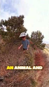 What if God loves your gratitude more than your self-made success? | Genesis 8:21 Daily Bible Verse