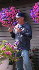 1K reactions · 45 shares | If you struggle with growing beautiful flowers, this the first step in getting back on track. People who have beautiful yards do this... #plantcare #plantcaretips #gardening #gardeningtips #gardeninglife #petunia #hangingbaskets | Sharkey's Greenhouses | Facebook