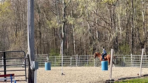 2.2K views · 46 reactions | How Cool  … the best way to teach Feel it by asking the Horse … ❤️ & CC is letting Johnny help her in teaching Addie the Feel …. the difference in her young horse & Johnny  … so now she can help her baby with a better Feel …❤️ | Cowgirl Up Ranch NY | Facebook