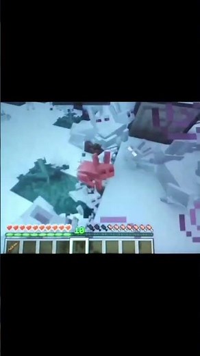 shi v36 #memes #anime #aliza #humor #rezero #shere #alizasehar #subaru #rezeromeme #rezerotimeloop