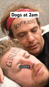 Dogs at 2am | Cherdleys