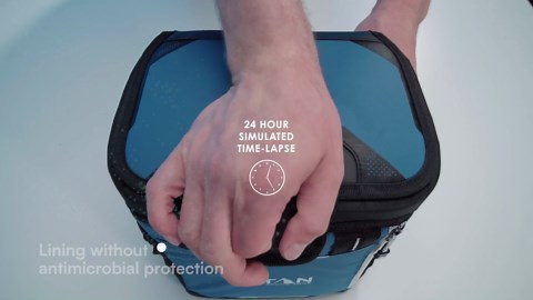 Titan Fridge Cold Zipperless Insulated Lunch Box - With Reusable Gel Ice Packs Plus Food Container Set - Sage Green