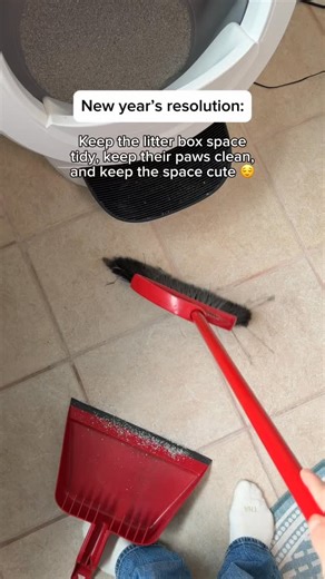 2026 is all about a cleaner litter box space (and clean paws 🐾) 📸 @ottoandfuriends #freshstep #catparent #newyearsresolution #catsofinstagram #freshsteplitter | Fresh Step Litter