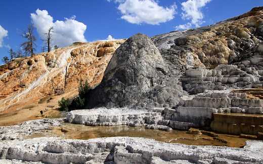 Yellowstone National Park Northern Loop: Things to See, Do, and Photograph