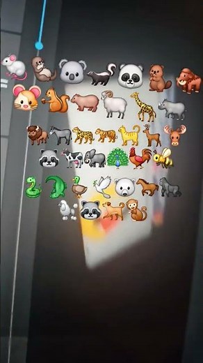 animanimals all animals