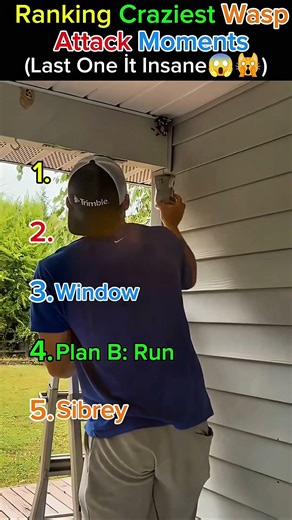 Ranking Craziest WaspAttack Moments #funny #funnyvideo #shortvideo #bee