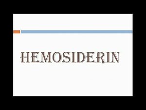 Hemosiderin /Hemosiderosis..