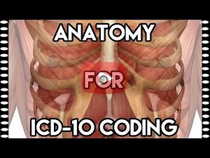 ICD-10-CM Draft & ICD-10 Anatomy Medical Coding